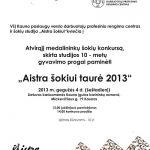 Aistra šokiui taurė 2013